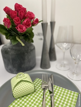 Geschenkbox Henkel (grün-weiß)